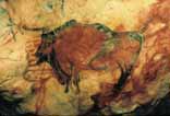 Una pintura ruprestre de la cova d'Altamira